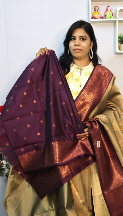 Karan Pattu Saree