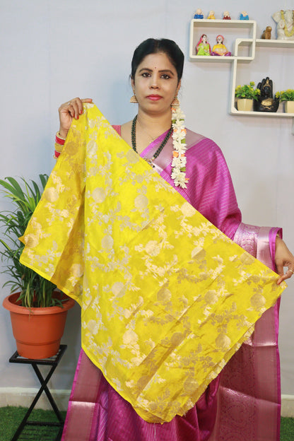 BANARAS WARM PATTU💛..!!