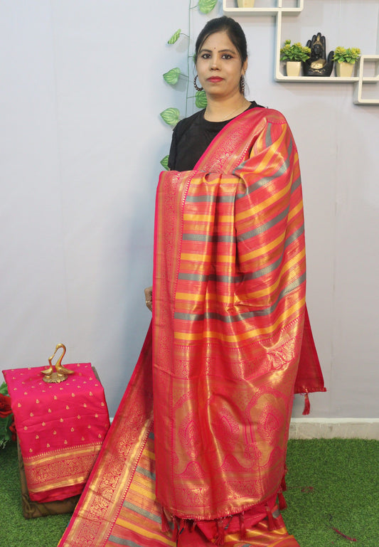 Kanchi Silk Multi Color Saree