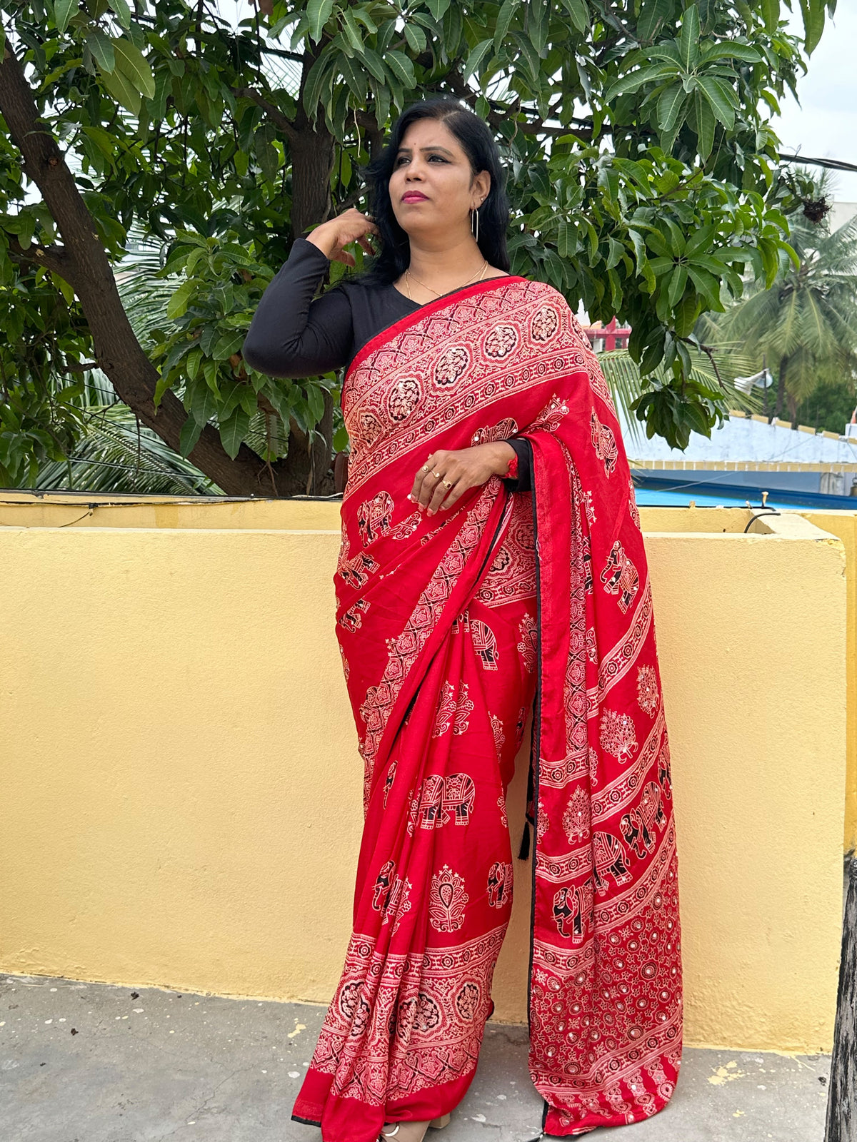Beautyfull  Crape saree